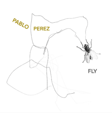 Album cover for Fly by Pablo Pérez