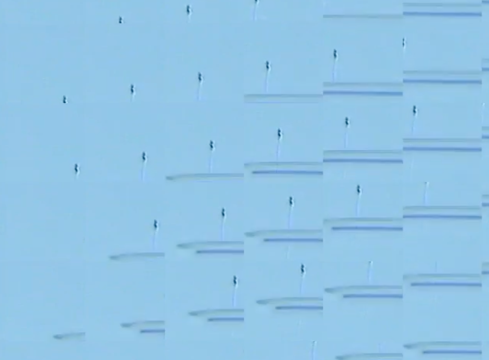 Coaxial Curation